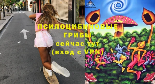 соль ск Нефтегорск