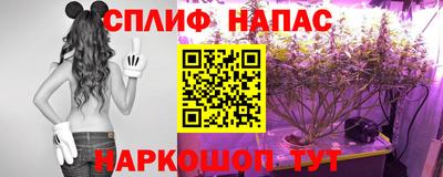 Альфа ПВП Гатчина