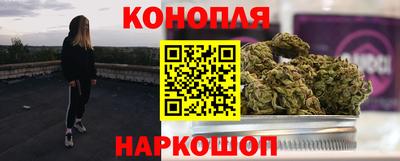 Альфа ПВП Гатчина