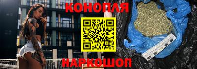 Альфа ПВП Гатчина