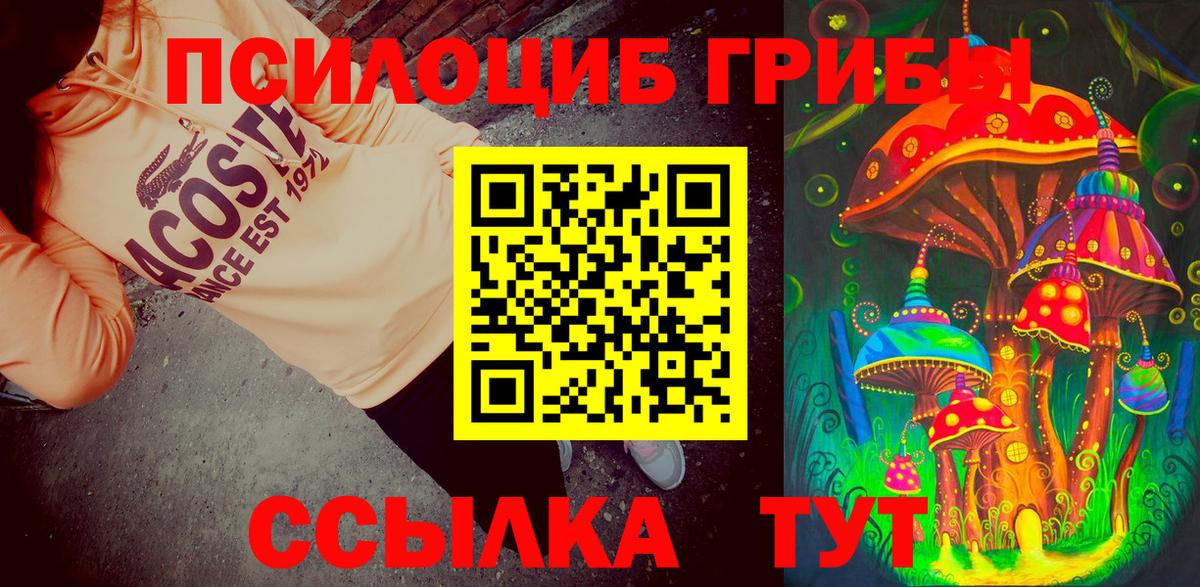 Псилоцибиновые грибы мицелий Железноводск