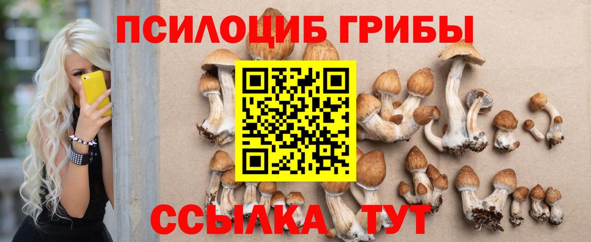 Псилоцибиновые грибы ЛСД  Вход с VPN  Железноводск 
