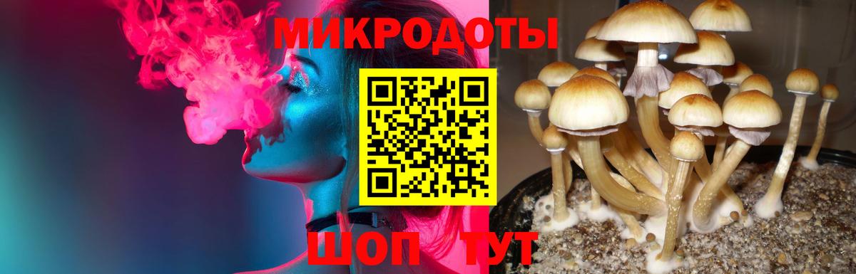 Галлюциногенные грибы мицелий Железноводск