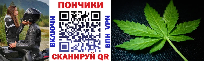 где можно купить наркотик Железноводск Бошки Шишки гибрид